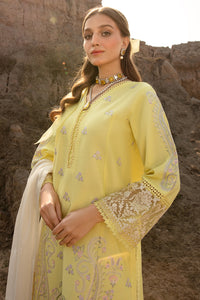 NOOR U1135