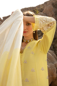 NOOR U1135