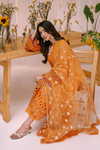 3 Piece - Embroidered Lawn Suit LFP1126
