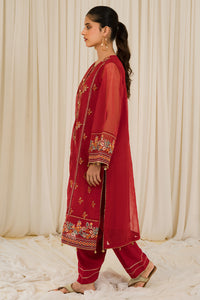 2 Piece - Embroidered Organza Suit L0785 (SO)