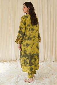 2 Piece - Embroidered Linen Texture Suit PB912