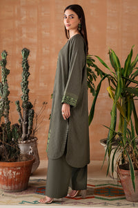 2 Piece - Embroidered Leno Kara Suit P1021 (SO)