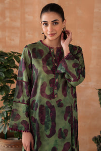 2 Piece - Digital Printed Lawn Suit P1042A