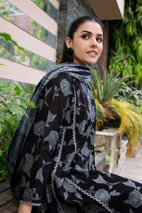 2 Piece - Printed Lawn Suit P001029