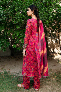 3 Piece - Embroidered Lawn Suit P1128 (SO)