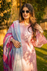 3 Piece - Embroidered Lawn Suit P001242