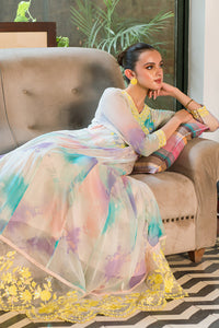1 Piece - Dyed Embroidered Georgette Shirt L0291