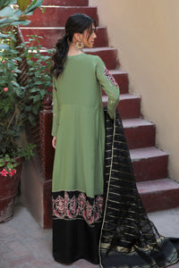 2 Piece - Dyed Embroidered Raw Silk Suit L0596 (SO)