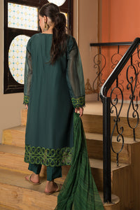 2 Piece - Dyed Embroidered Organza Suit L0774
