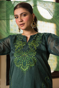 2 Piece - Dyed Embroidered Organza Suit L0774