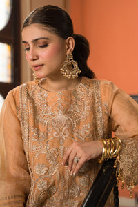 4 Piece - Dyed Embroidered Organza Suit L0776 (SO)