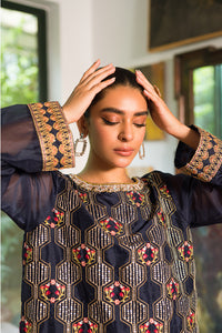 2 Piece - Dyed Embroidered Organza Suit L0777 (SO)
