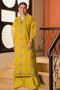 2 Piece - Dyed Embroidered Organza Suit L0786 (SO)
