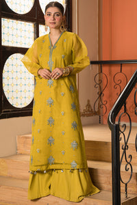2 Piece - Dyed Embroidered Organza Suit L0786 (SO)