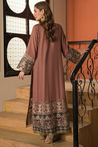 2 Piece - Dyed Embroidered Raw Silk Suit L0787
