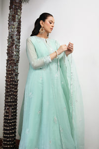 2 Piece - Embroidered Cotton Net Suit L1152
