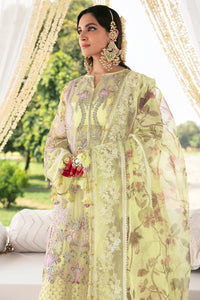 NARGIS LFU-10