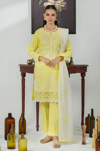 3 Piece - Embroidered Cotton Cambric Suit P001032