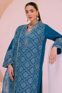 3 Piece - Block Print Cotton Suit P001223