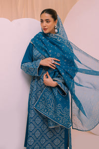 3 Piece - Block Print Cotton Suit P001223