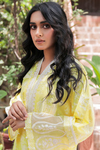 1 Piece - Embroidered Paste Printed Lawn Shirt P0443 (SO)
