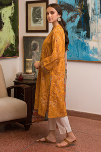 2 Piece - Embroidered Paste Printed Lawn Suit P0496 (SO)
