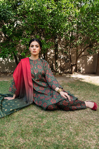 3 Piece - Digital Printed Lawn Suit P1049