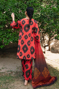 3 Piece - Digital Printed Lawn Suit P1052