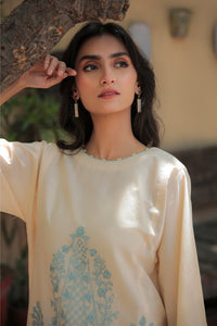 2 Piece - Dyed Embroidered Lawn Suit P2716