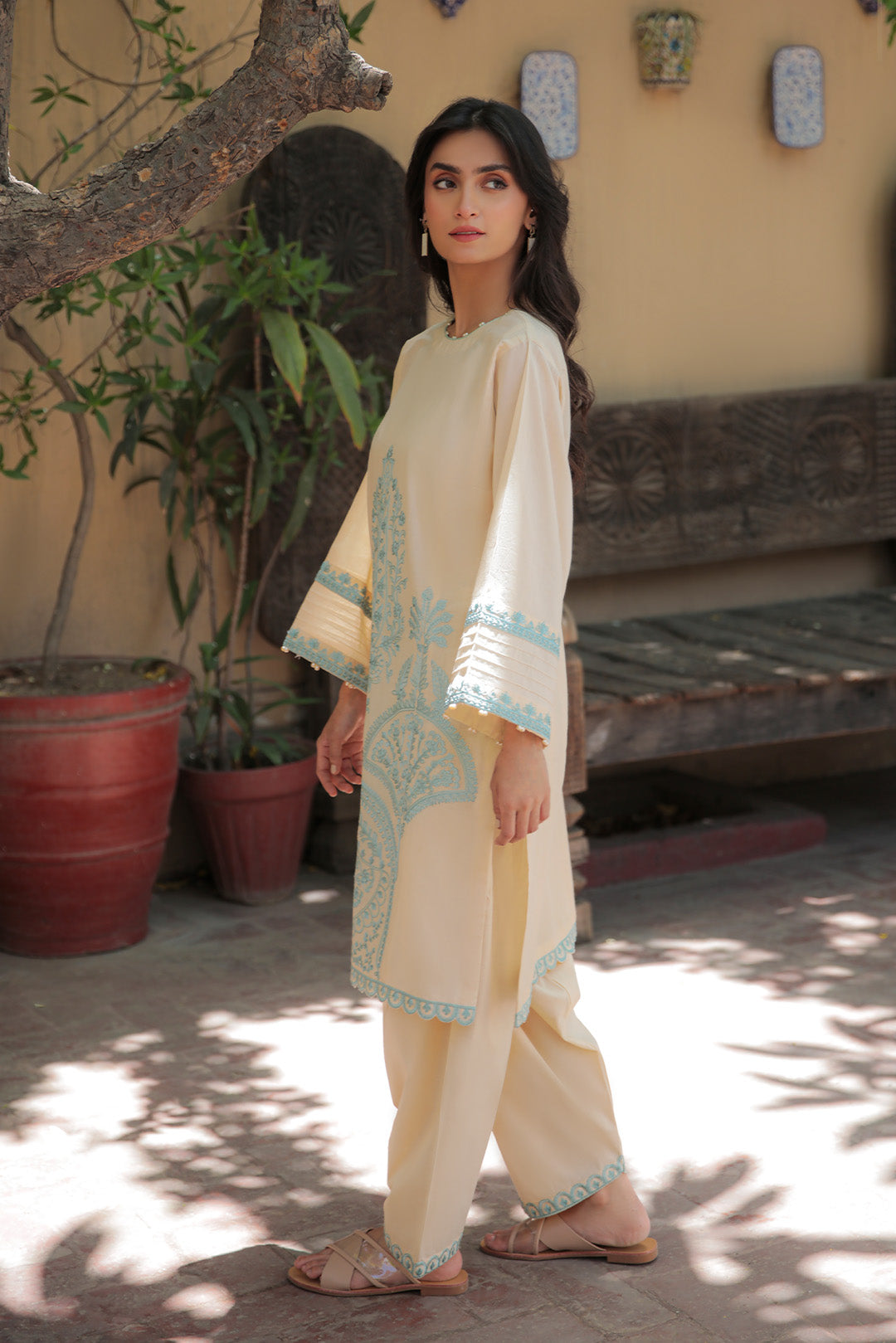 2 Piece - Dyed Embroidered Lawn Suit P2716