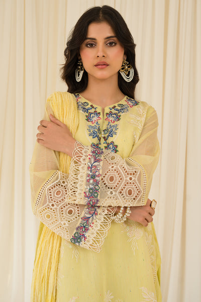 3 Piece - Embroidered Cotton Jelly Yarn Suit PB945