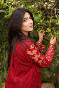3 Piece - Embroidered Broshia Net Suit L1146