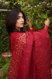 3 Piece - Embroidered Broshia Net Suit L1146
