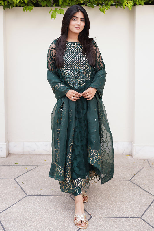 3 Piece - Embroidered Broshia Net Suit L1145