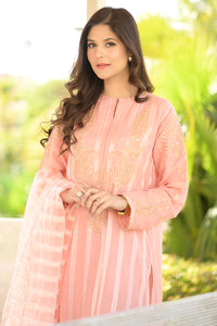 3 Piece - Embroidered Raw Silk Suit L0950 (SO)