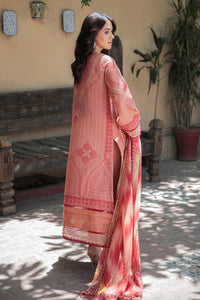 3 Piece - Dyed Embroidered Jacquard Suit U0426A (SO)