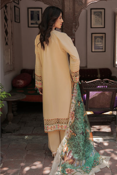 3 Piece - Dyed Embroidered Lawn Suit U0772