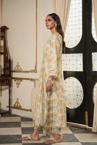 3 Piece - Embroidered Digital Printed Cotton Cambric Suit U0854