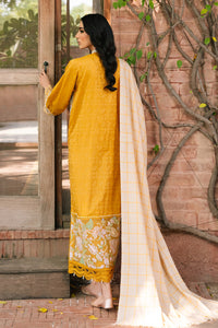 3 Piece -Schiffli Embroidered Viscose Jacquard Suit U0963