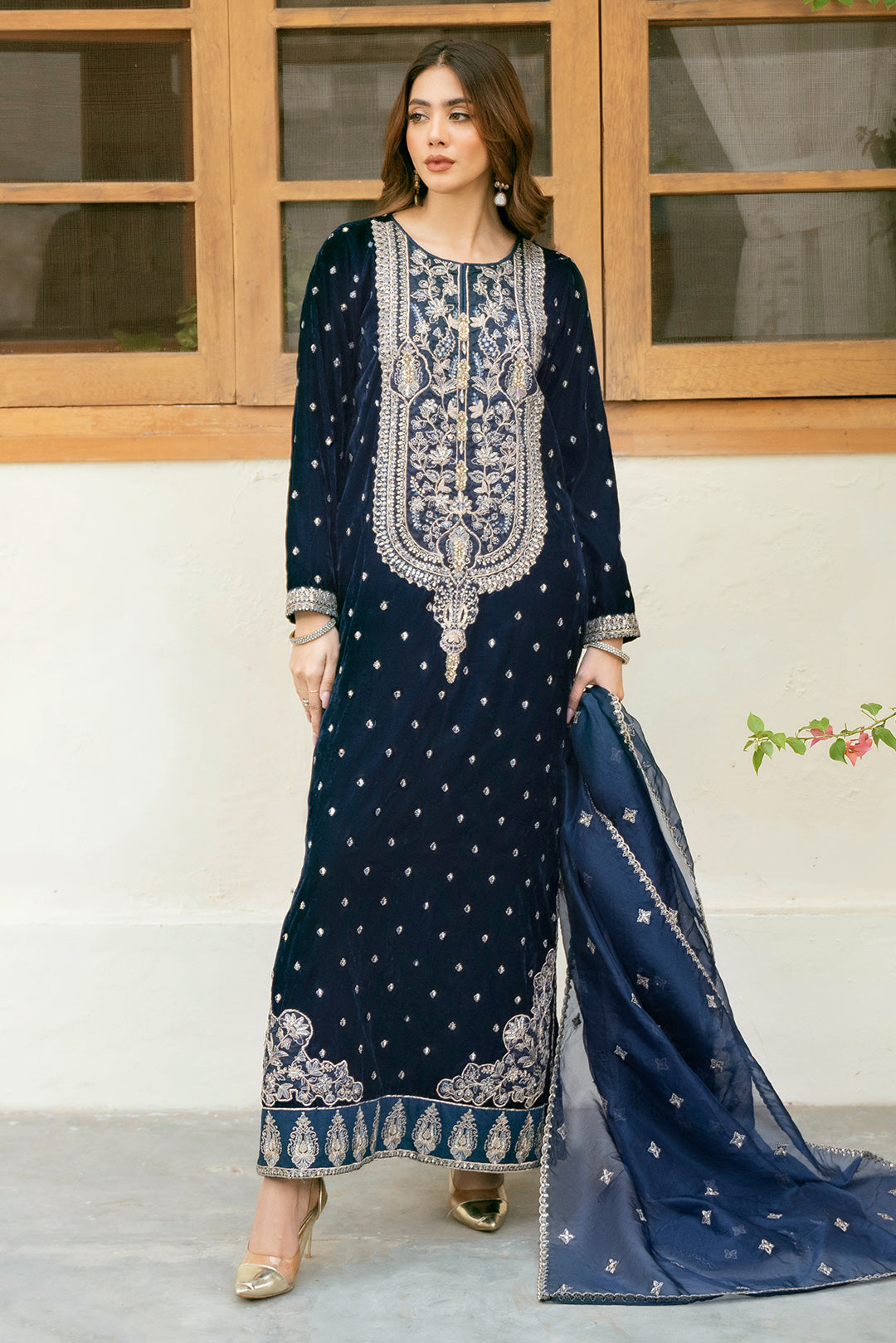 2 Piece - Embroidered Premium Velvet Suit V1009