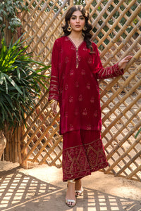 2 Piece - Embroidered Velvet Suit L0294