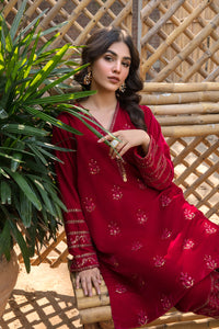 2 Piece - Embroidered Velvet Suit L0294