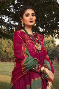 2 Piece - Embroidered Khaddi Suit L0295