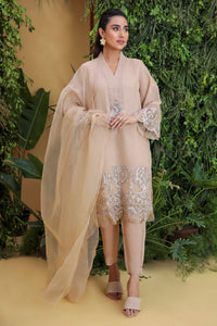 2PC Banarsi Badla Dyed With Embroiderey L2310