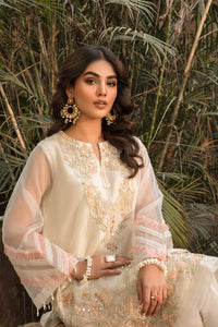2 Piece - Embroidered Organza Suit- L2684 (SO)
