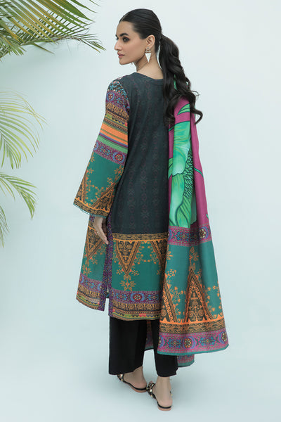 2 Piece - Embroidered Printed Plain Khaddar Suit P0023