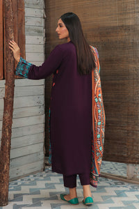 2 Piece - Embroidered Silk Karandi Suit P0045