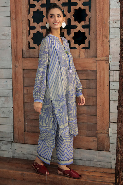 two pieces Printed Plain Khaddar for ladies