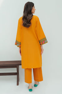 1 Piece  - Dyed Embroidered ROD Khaddar Shirt P0223