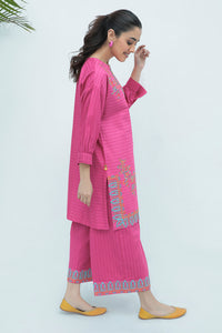 2 Piece - Embroidered Katpana Khaddar Suit P0243